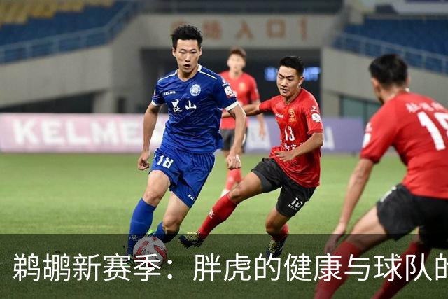鹈鹕新赛季：胖虎的健康与球队的迷思